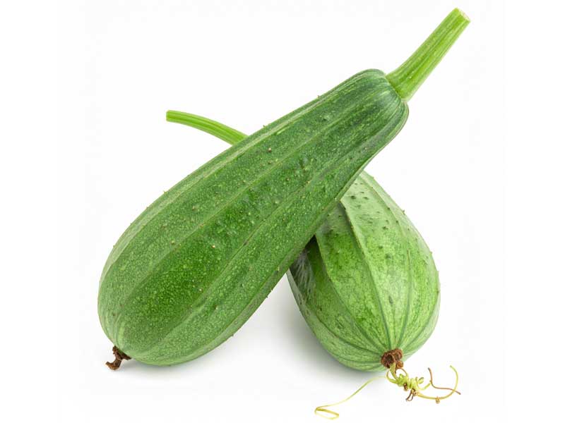 ধুন্দুল